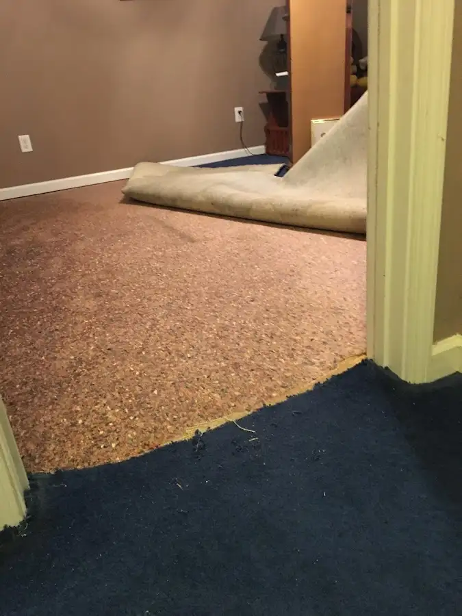 Carpet pad removal revealing water damage during Water Mitigation Services in Branchburg