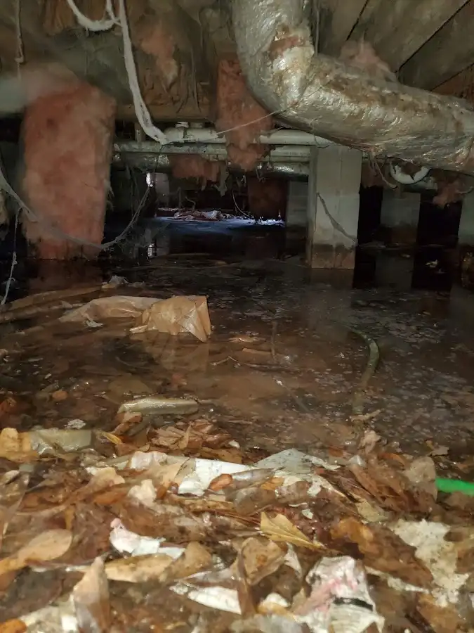 Crawl space flood assessment for Leak Detection & Repair in Branchburg