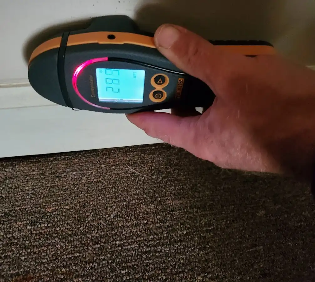 Moisture detection at baseboard during Sewage Cleanup & Sanitation in Branchburg